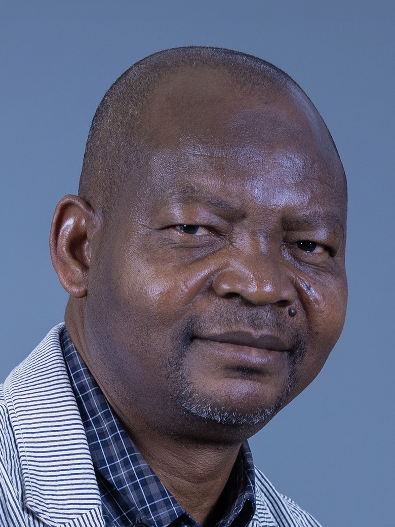 Prof Adewale Aregbeshola